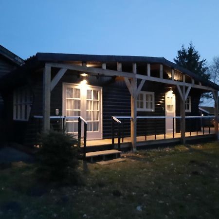 Chalet Het Wollinghuisje Vlagtwedde Exteriör bild