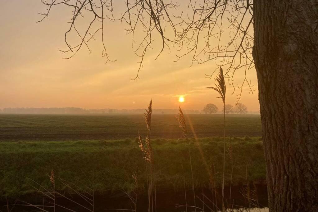 Chalet Het Wollinghuisje Vlagtwedde Exteriör bild