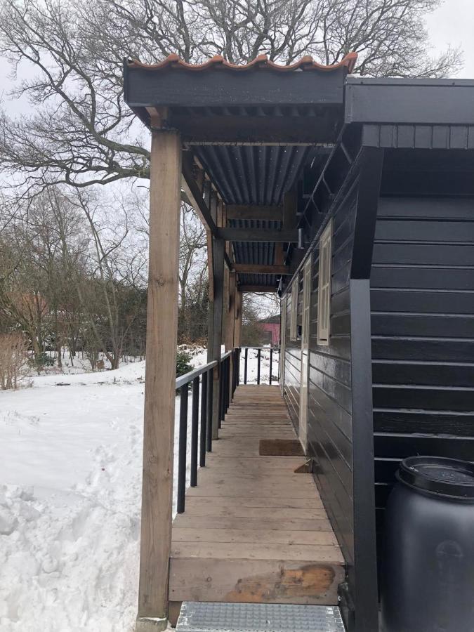 Chalet Het Wollinghuisje Vlagtwedde Exteriör bild