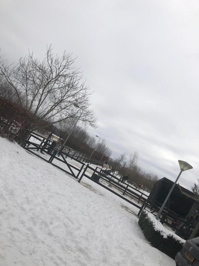 Chalet Het Wollinghuisje Vlagtwedde Exteriör bild